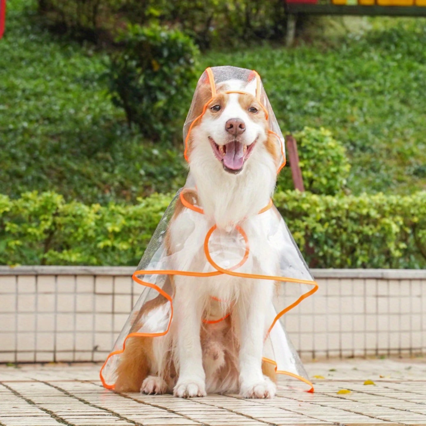 Transparent Outgoing Raincoat for large and small dogs.