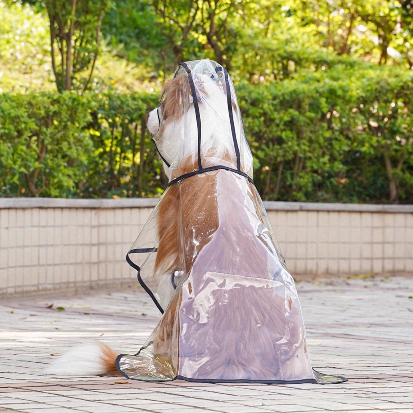 Transparent Outgoing Raincoat for large and small dogs.