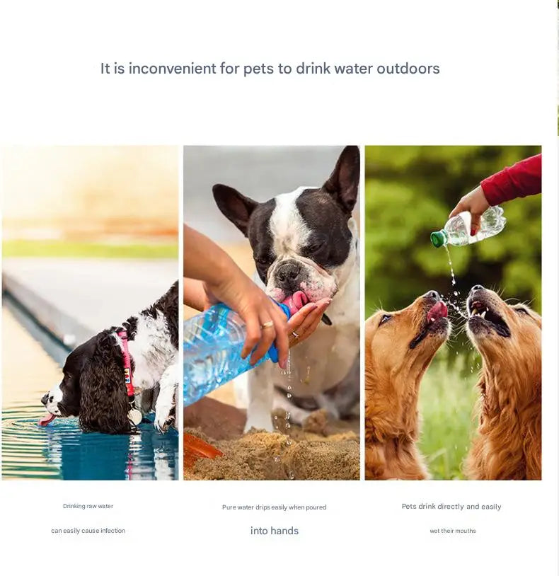 Portable Dog Water and Feeding Cup for Travel and Outdoor Adventures