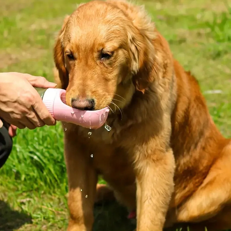 Portable Dog Water and Feeding Cup for Travel and Outdoor Adventures