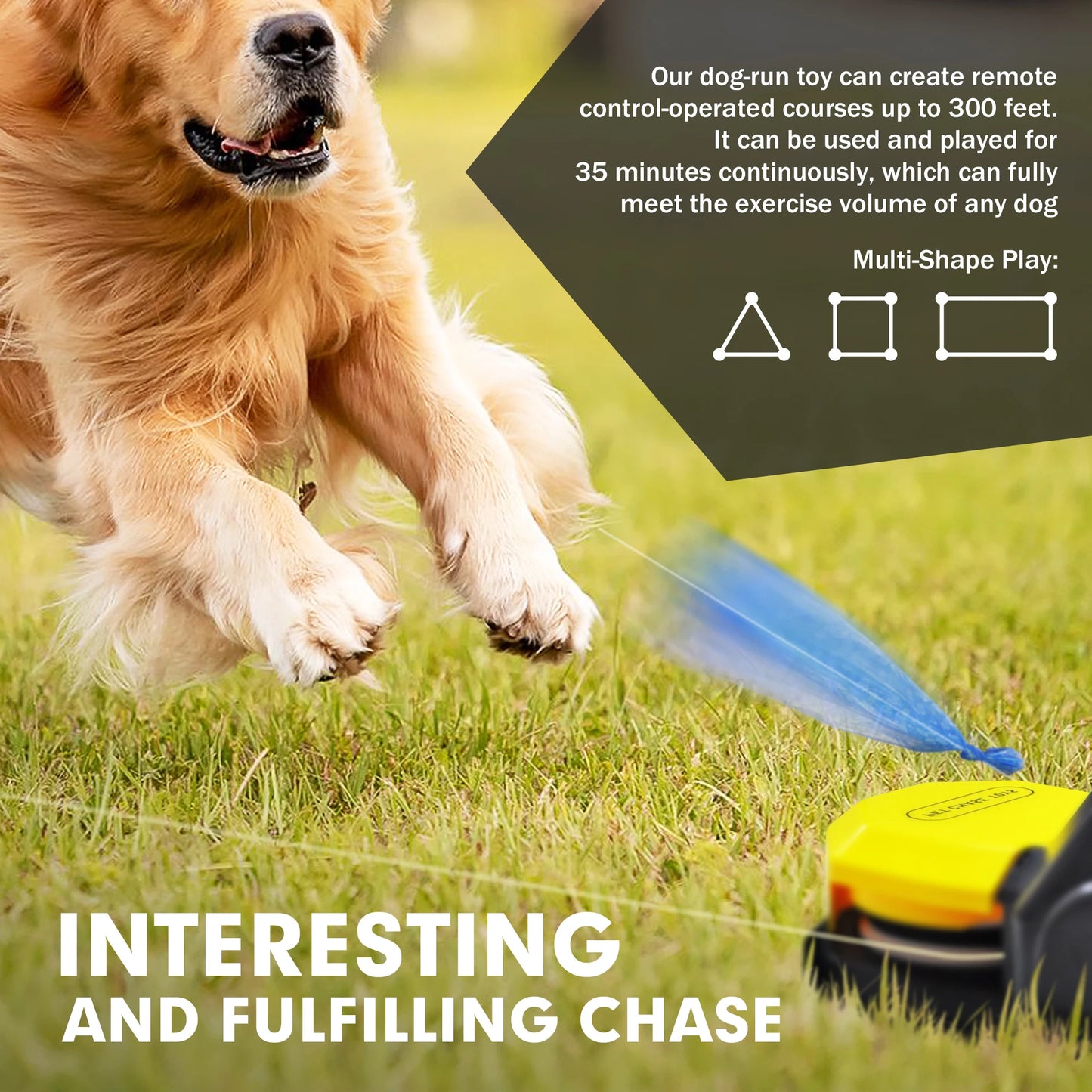 Lure Course Machine for Dogs, Agility Training