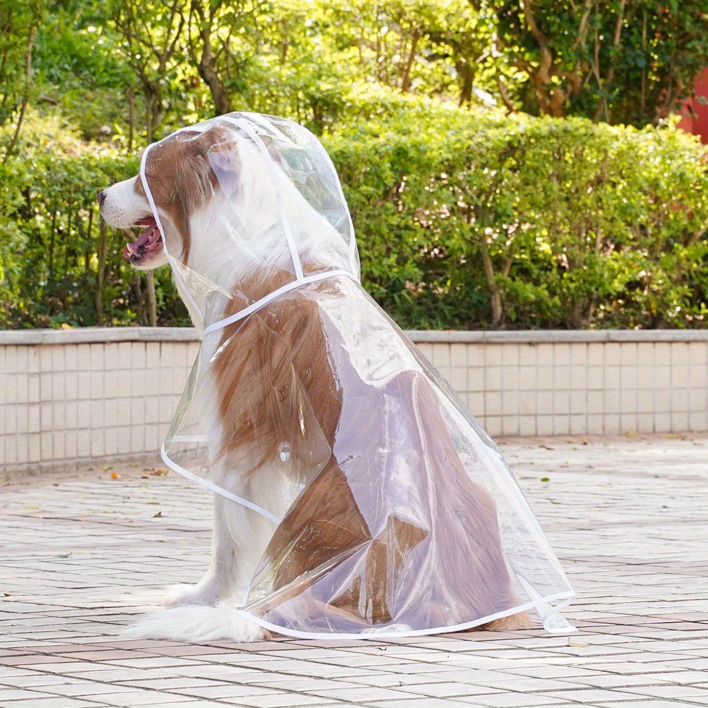 Transparent Outgoing Raincoat for large and small dogs.