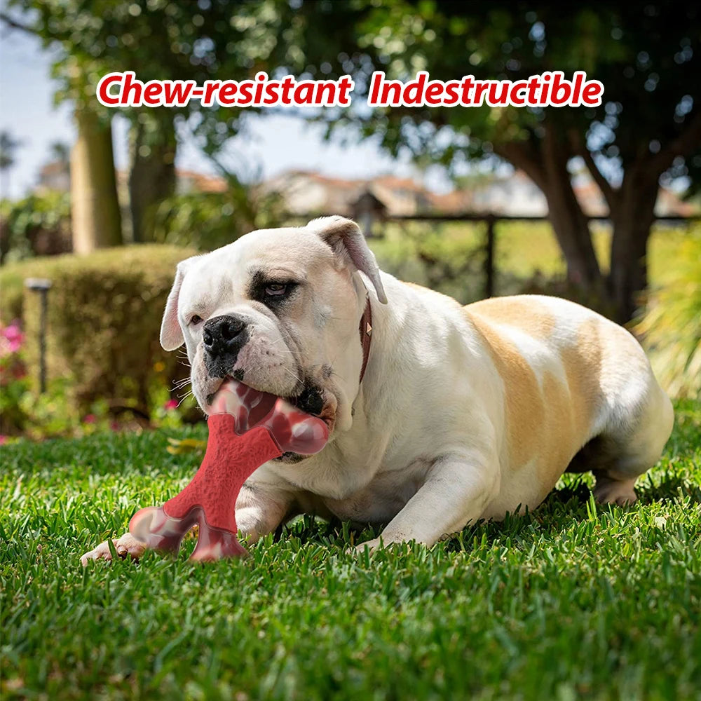 Dog Durable Double Rubber Bone