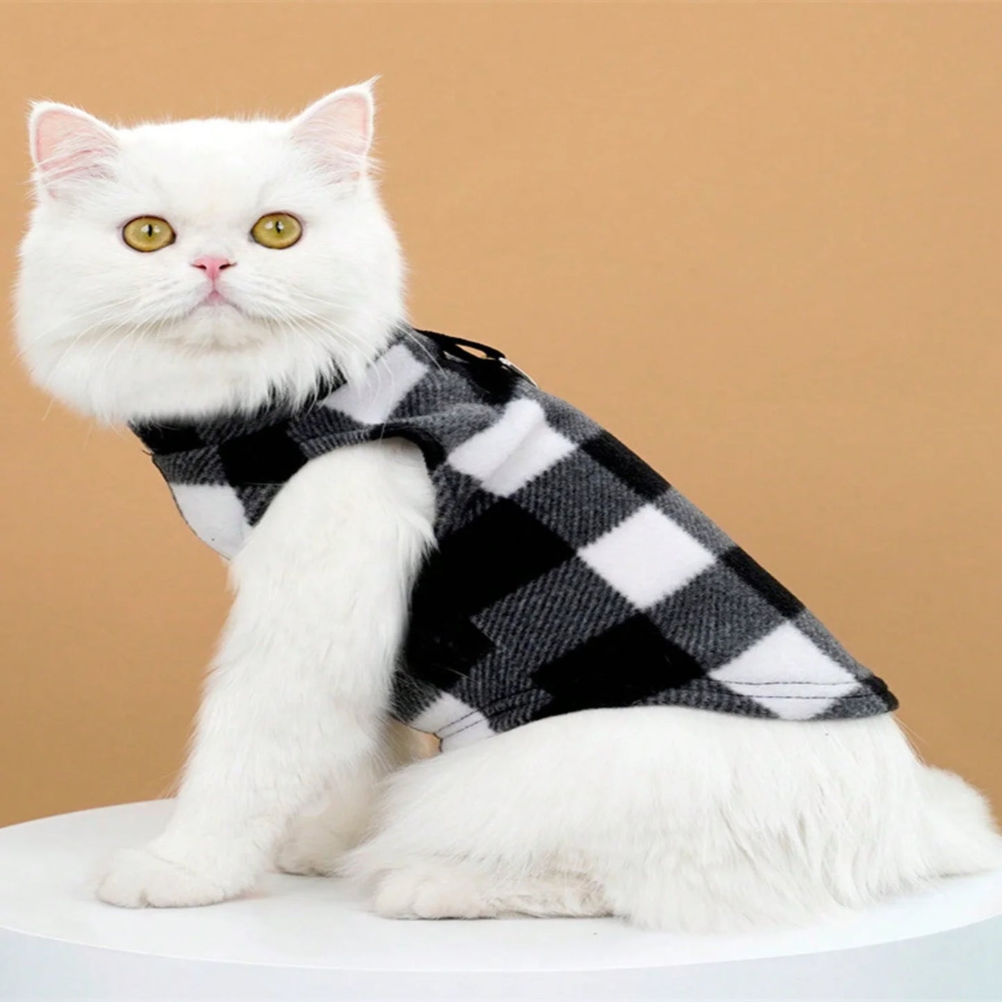 Pet Autumn And Winter Vest With Leash