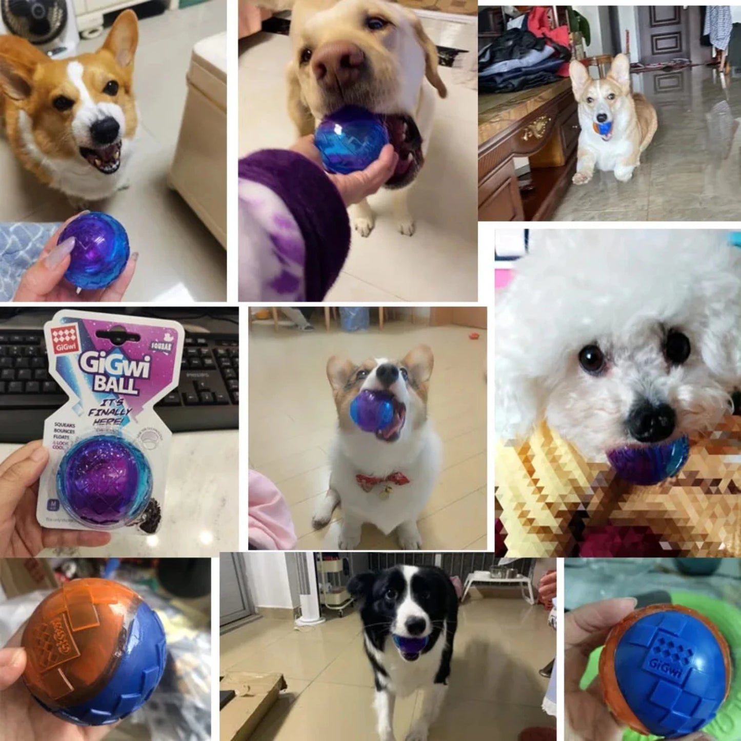 Squeaky Chew Toys Non-toxic