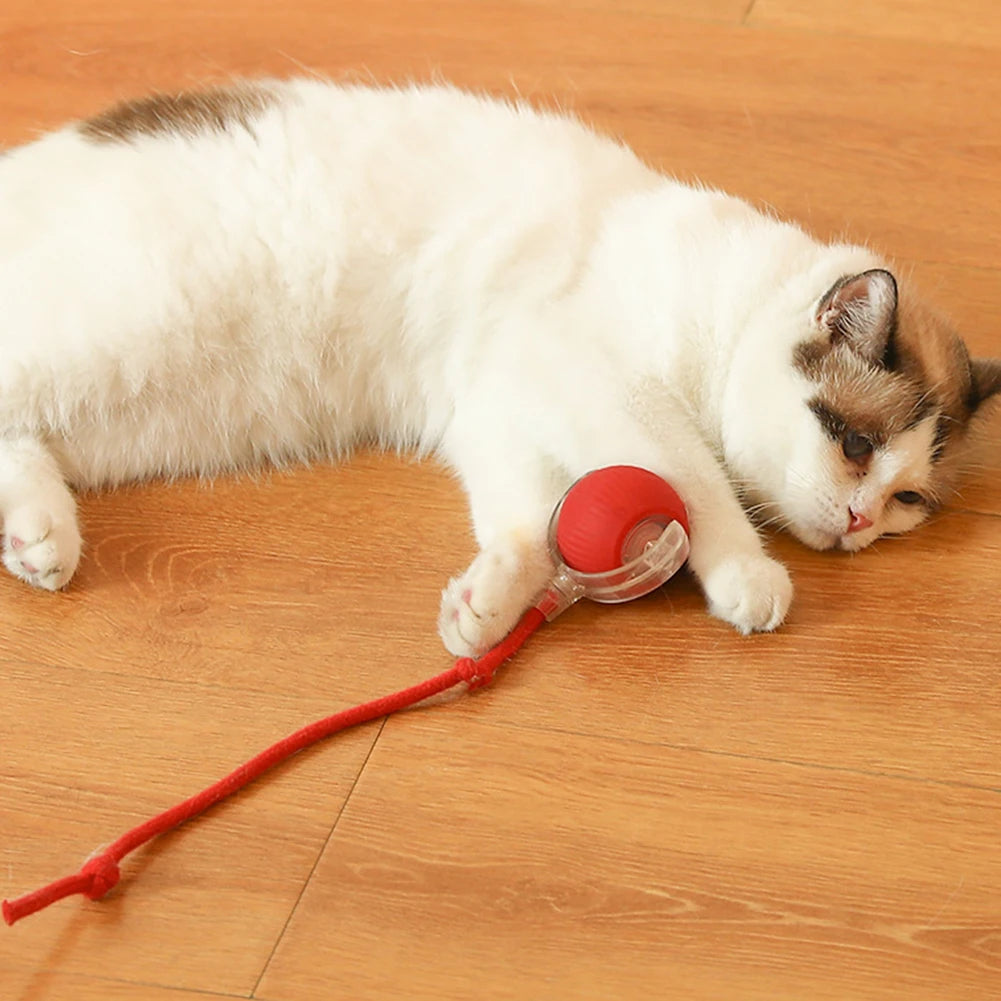 Smart Cat Toys Automatic Rolling Ball