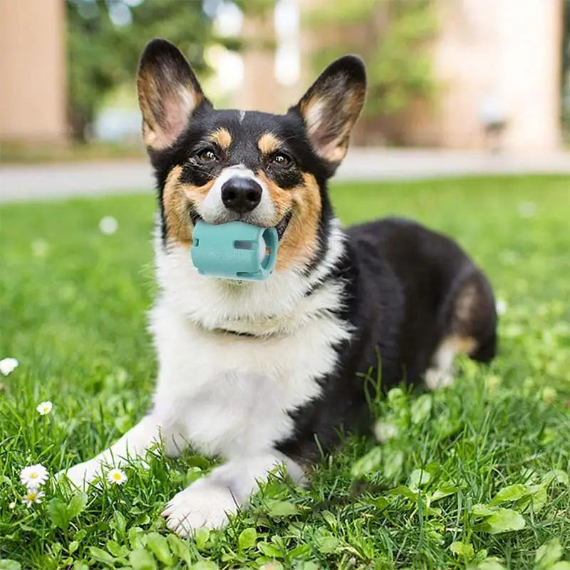 Puppy Teething Chew Ball Interactive Tumbling Puzzle