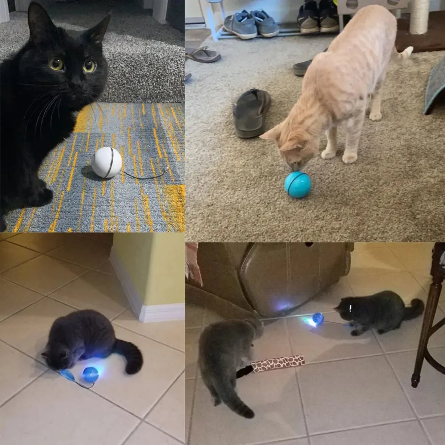 Smart Cat toys interactive ball With Feather Bell