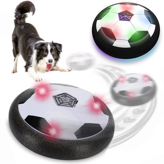 Interactive Toy for Dogs and Cats