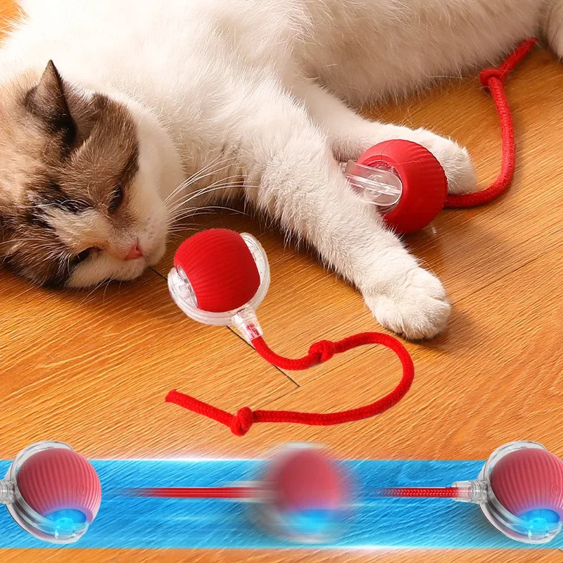 Smart Cat Toys Automatic Rolling Ball