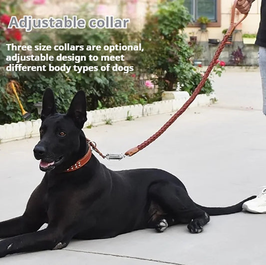 5 Foot Genuine Dog Leash with Cowhide Collar for Medium and Large Dogs