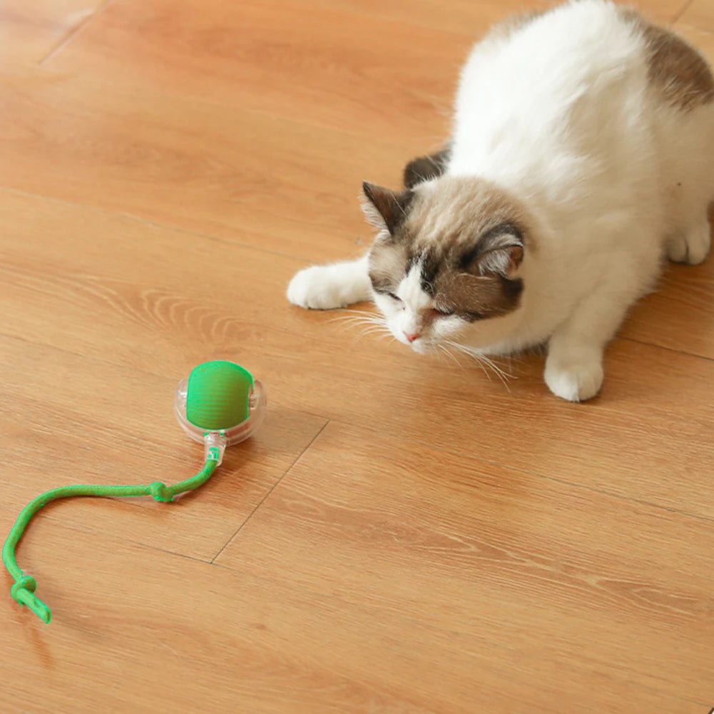 Smart Cat Toys Automatic Rolling Ball