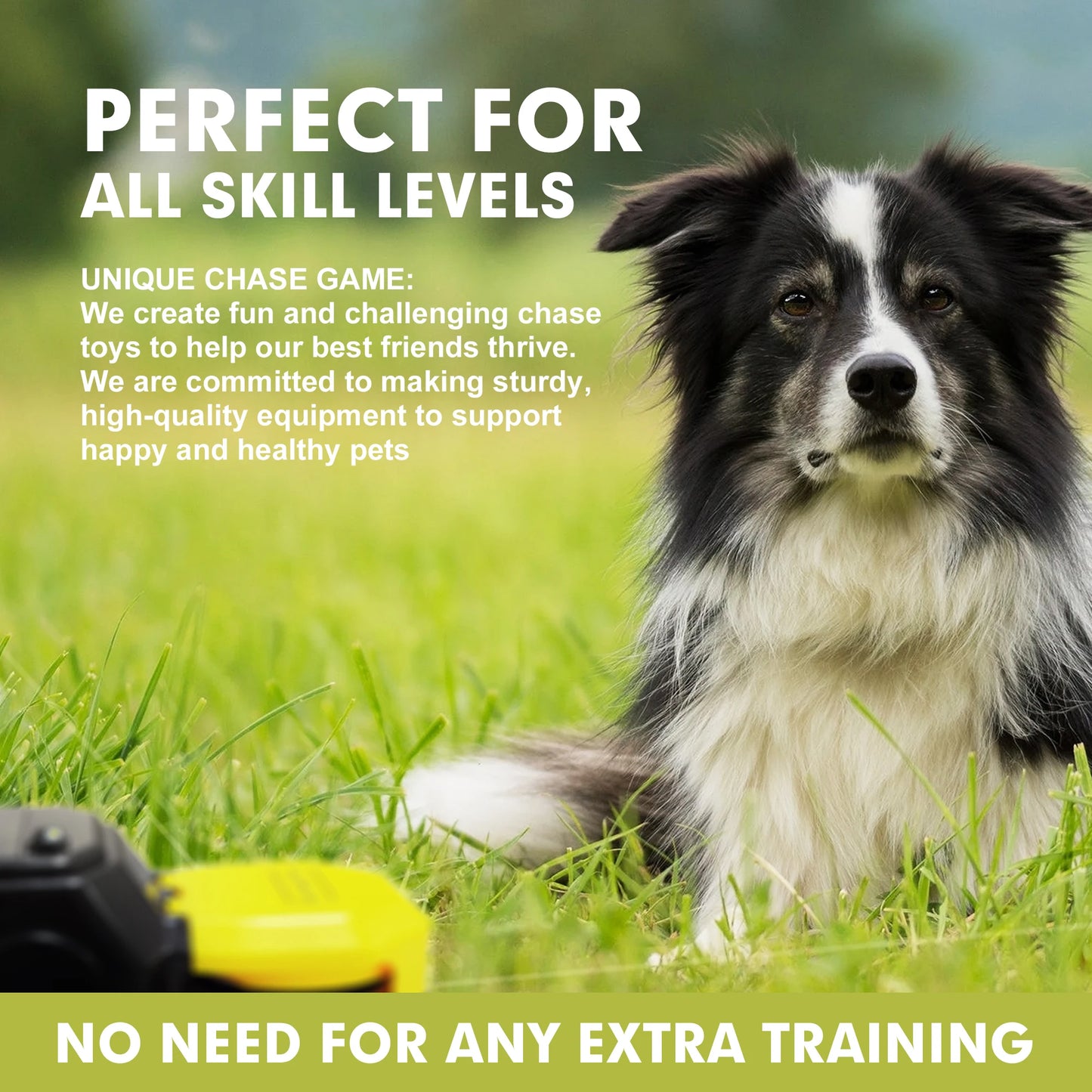 Lure Course Machine for Dogs, Agility Training